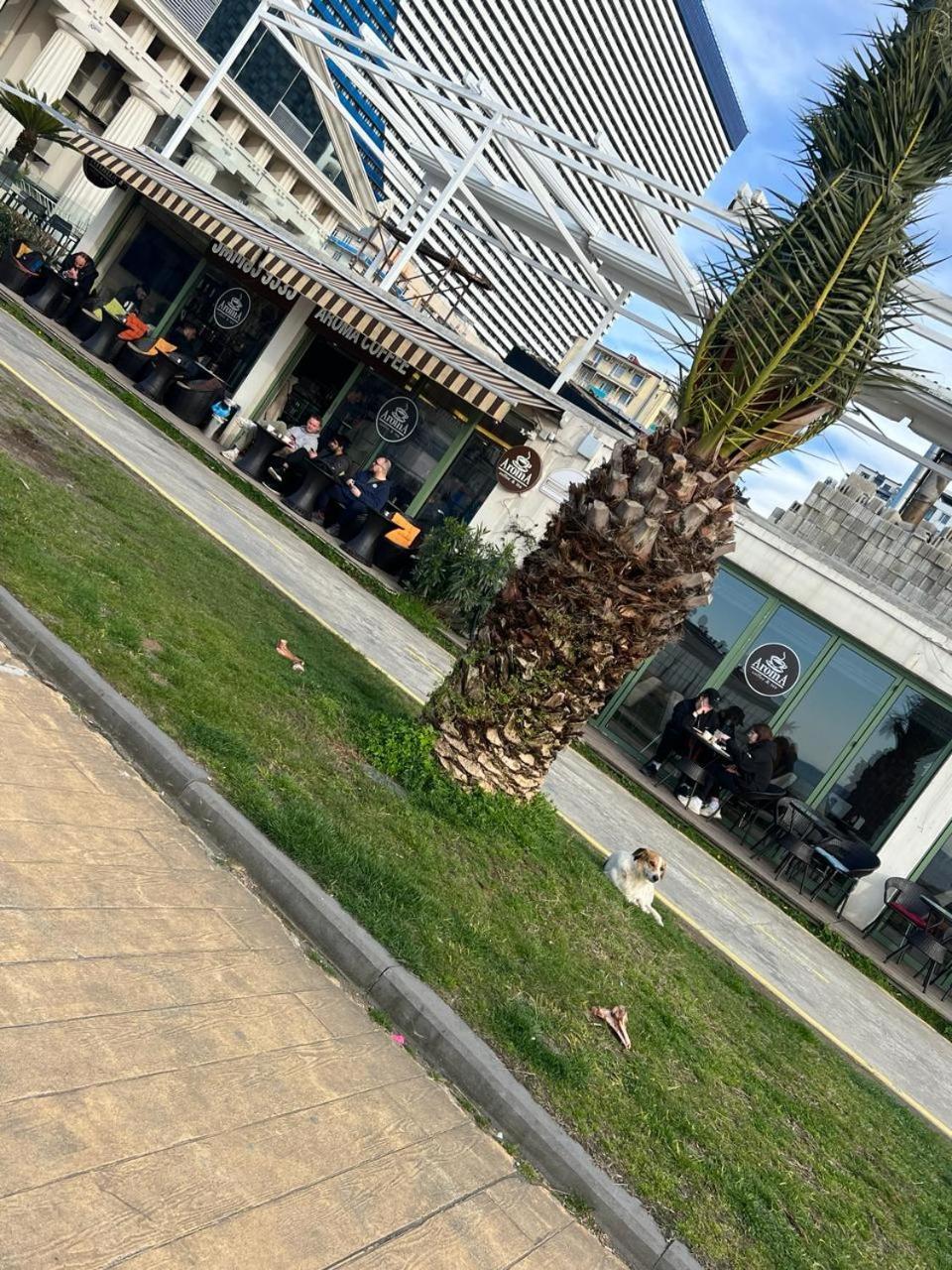Hotel Paris Batumi Eksteriør billede